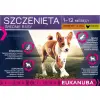 Eukanuba Puppy&Junior Medium Breed 15kg