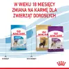 ROYAL CANIN Giant Junior 15kg