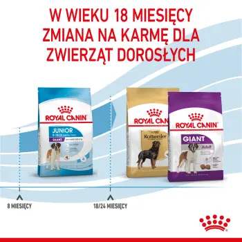 ROYAL CANIN Giant Junior 15kg