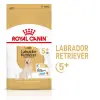 ROYAL CANIN Labrador Retriever Adult 5+ 3kg