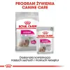 ROYAL CANIN CCN Exigent Pasztet 12x85g