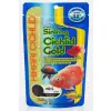 Hikari Cichlid Gold Sinking Mini 100g