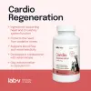 Lab-v Cardio Regeneration 90 kapsułek – wsparcie serca dla psów i kotów
