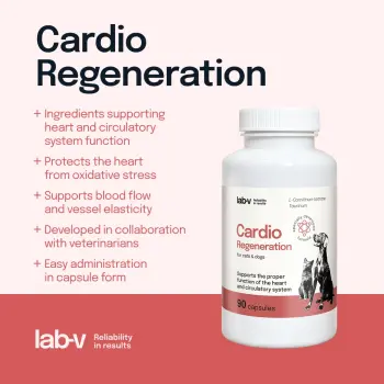 Lab-v Cardio Regeneration 90 kapsułek – wsparcie serca dla psów i kotów
