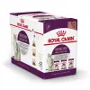 ROYAL CANIN Sensory Smell Taste Feel Kawałki W Sosie 12x85g