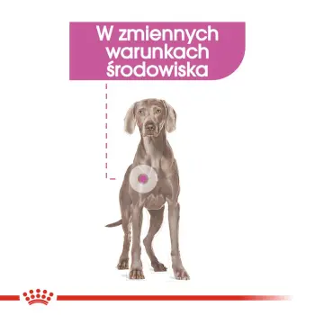 ROYAL CANIN CCN Maxi Relax Care 9kg