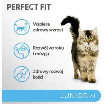 Perfect Fit™ - sucha karma pełnoporcjowa dla kociąt poniżej 1 roku, bogata w kurczaka 7kg