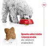 ROYAL CANIN Mini Adult 2kg