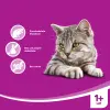 WHISKAS Anti-Hairball- Przysmak Dla Kota Przeciw Kłaczkom 50g