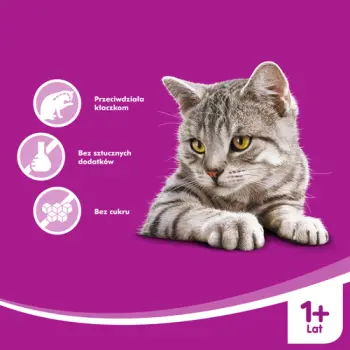 WHISKAS Anti-Hairball- Przysmak Dla Kota Przeciw Kłaczkom 50g