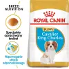 ROYAL CANIN Cavalier King Charles Spaniel Puppy 1,5kg