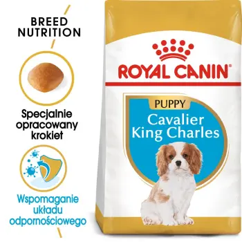 ROYAL CANIN Cavalier King Charles Spaniel Puppy 1,5kg