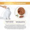 Purina Gourmet Gold pasztet z królikiem 85g