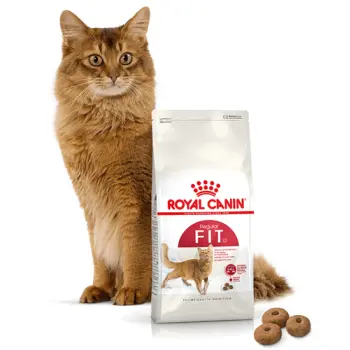 Royal Canin Fit 32 400g