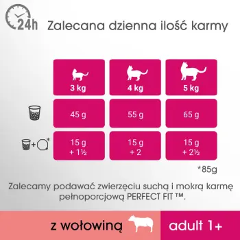 PERFECT FIT Adult 1+ Z Wołowiną 750g