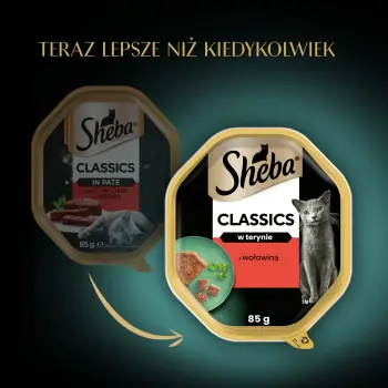 Sheba Classics Z Wołowiną 85g