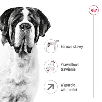 ROYAL CANIN Giant Adult 15kg