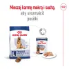 ROYAL CANIN Maxi Adult 5+ 15kg