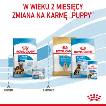 ROYAL CANIN Maxi Starter Mother & Babydog 15kg