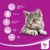 WHISKAS Karma Sucha Dla Kota 1+ Z Tuńczykiem 14kg