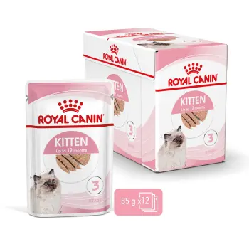 ROYAL CANIN Kitten Pasztet 12x85g