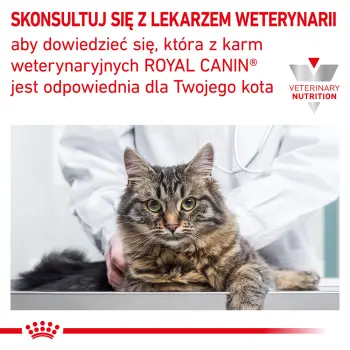 ROYAL CANIN Renal Feline 4kg