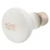 REPTI PLANET Żarówka Daylight Frosted 50W