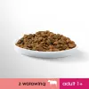 PERFECT FIT Adult 1+ Z Wołowiną 750g