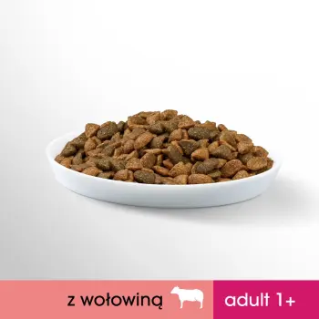 PERFECT FIT Adult 1+ Z Wołowiną 750g