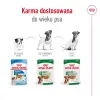 ROYAL CANIN Mini Adult 12x85g