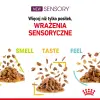 ROYAL CANIN Sensory Smell Taste Feel Kawałki W Sosie 12x85g