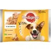 Pedigree Vital Protection Mokra Karma Dla Dorosłych Psów Jagnięcina I Kurczak W Galaretce 4x100g