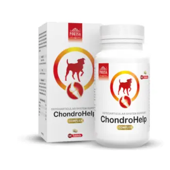 POKUSA ChondroLine ChondroHelp 120 tab.