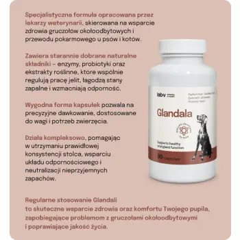 Lab-v Glandala Wsparcie Gruczołów Okołoodbytowych i Przewodu Pokarmowego 90 Kapsułek
