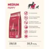 Fitmin Medium Puppy Kurczak 15kg