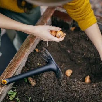 Fiskars Solid Motyczka