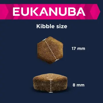 Eukanuba Mature&Senior Large Lamb & Rice 12kg