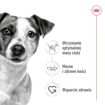 ROYAL CANIN Mini Adult 800g