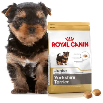 ROYAL CANIN Yorkshire Terrier Puppy 500g