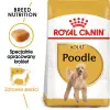 ROYAL CANIN Poodle Adult 500g