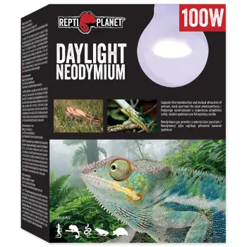 REPTI PLANET Żarówka Daylight Neodymium 100W