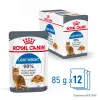 ROYAL CANIN Light Weight Care W Galaretce 12x85g