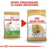 ROYAL CANIN Pug Adult 500g