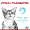 ROYAL CANIN Sensory Feel Kawałki W Sosie 12x85g