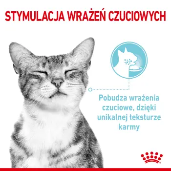 ROYAL CANIN Sensory Feel Kawałki W Sosie 12x85g