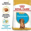 ROYAL CANIN Dachshund Puppy 1,5kg