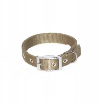 Dingo Obroża Z Taśmy Dla Psa "Extra" 45cm