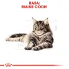 ROYAL CANIN Maine Coon Adult 10kg + 2kg