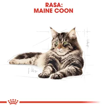 ROYAL CANIN Maine Coon Adult 2kg