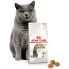 ROYAL CANIN Ageing Sterilised +12 400g